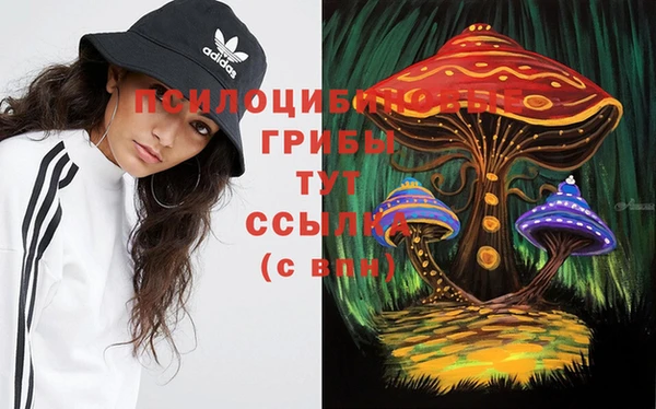 ALPHA PVP Армянск