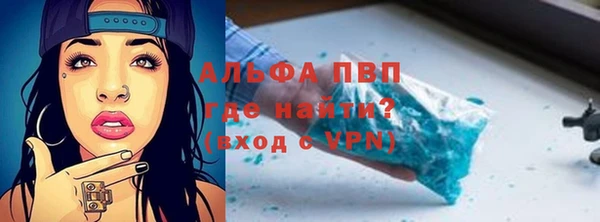 стафф Арсеньев